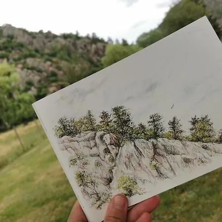 Le Ponton Des Sympetrums