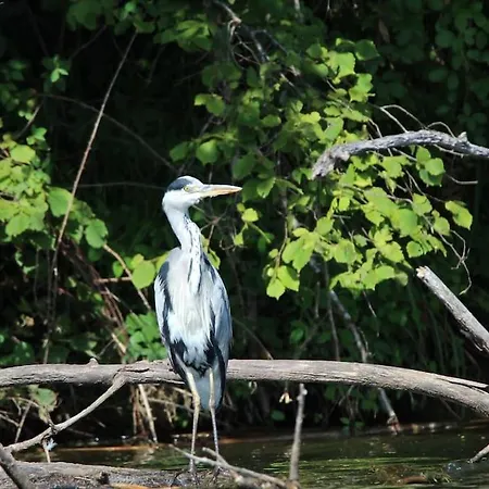 Le Ponton Des Sympetrums شقة *