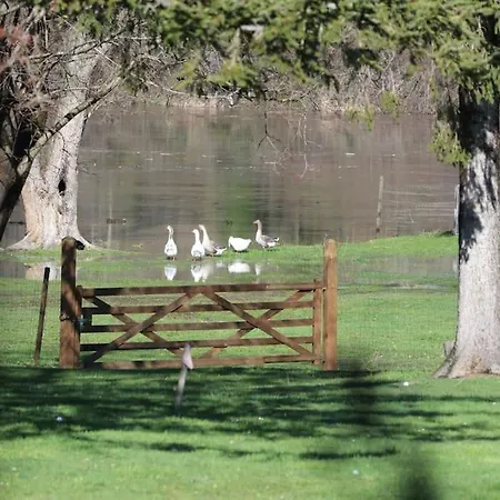 Le Ponton Des Sympetrums * Aurec-Sur-Loire