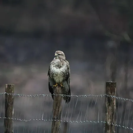 Le Ponton Des Sympetrums شقة *