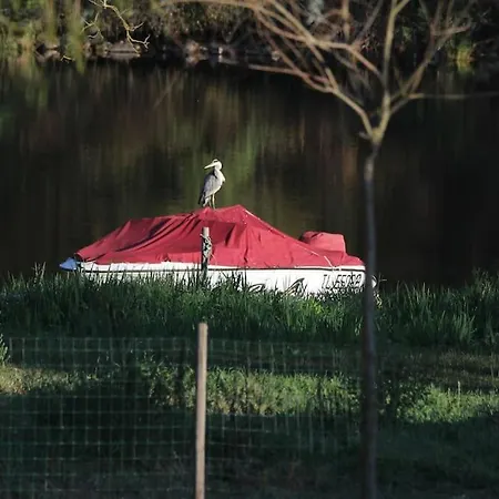 شقة Le Ponton Des Sympetrums Aurec-Sur-Loire